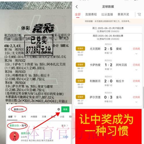 世界杯博彩为何遭全面禁止？深入剖析背后原因与深远影响